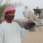 desert safari, falconry, falcon-1264595.jpg